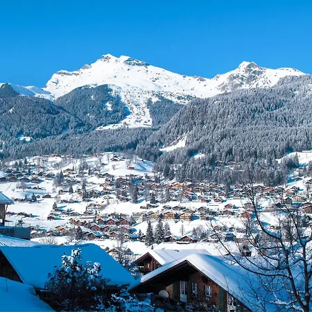 Apartament Adlerhorst Og By Interhome Grindelwald