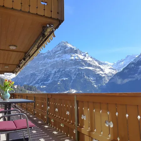 Adlerhorst Og By Interhome Apartament Grindelwald