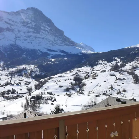 Adlerhorst Og By Interhome Apartmán Grindelwald