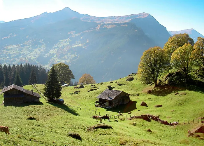 Adlerhorst Og By Interhome Apartamento